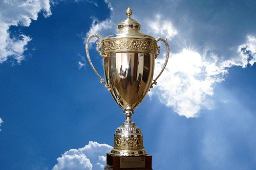 Кубок России в ДИВСе Кубок России в ДИВСе